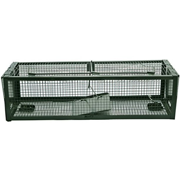 Live Animal Humane Trap 2-Door Mouse Cage Trap For Chipmunk Rats Squirrels Voles Live Animal Humane Trap 2-Door Mouse Cage Trap For Chipmunk Rats Squirrels Voles